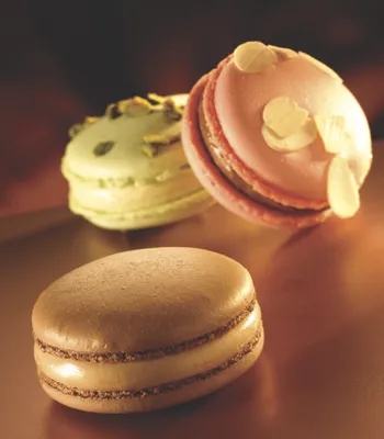 PatisFrance Patis’Macaron